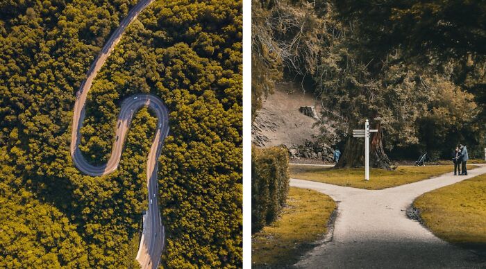 Aerial view of winding road through forest and a forked path with a signpost.