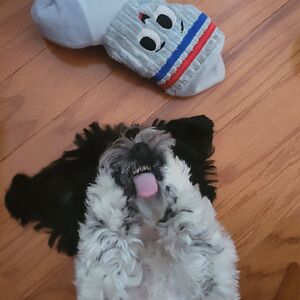 greenpad-michelle avatar