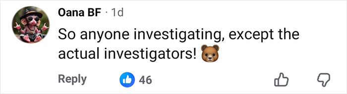 Facebook comment criticizing investigators, highlighting concern over website giving men advice on crimes against wives.