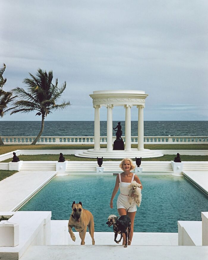 This Instagram Page Is Bringing Forgotten Dogs From History Back To Life In The Most Heartwarming Way(45 Pics)