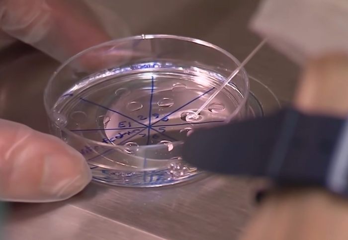 Casal processando clínica de fertilidade por confusão de fertilização in vitro finalmente identifica os pais biológicos do bebê