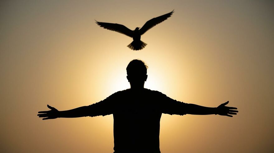 &ldquo;Perfectly Timed Photos That Look Too Good To Be True&rdquo;