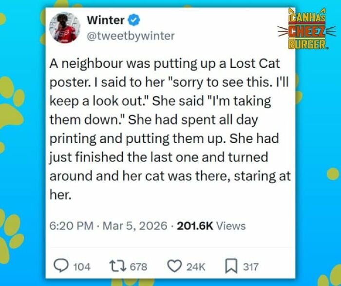 The Original Cat Meme Page Is Still Going Strong: Here Are Some Of The Funniest Posts From I Can Has Cheezburger (50 Pics)