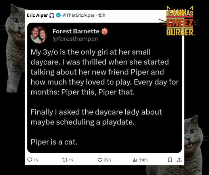 The Original Cat Meme Page Is Still Going Strong: Here Are Some Of The Funniest Posts From I Can Has Cheezburger (50 Pics)