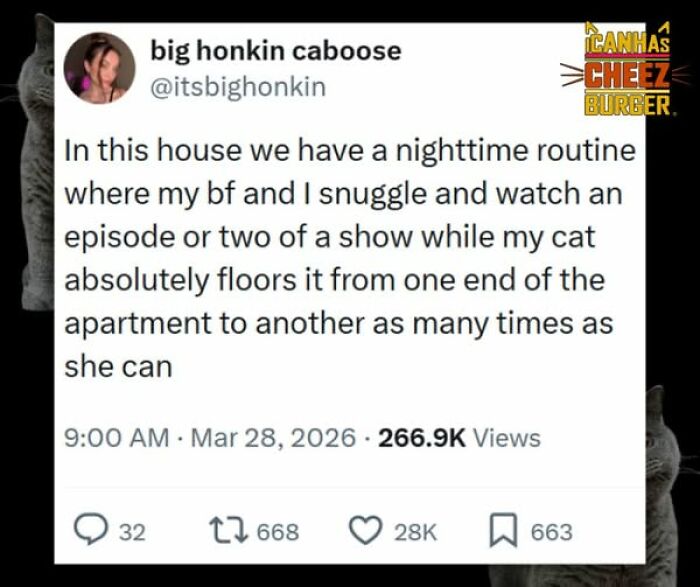 The Original Cat Meme Page Is Still Going Strong: Here Are Some Of The Funniest Posts From I Can Has Cheezburger (50 Pics)