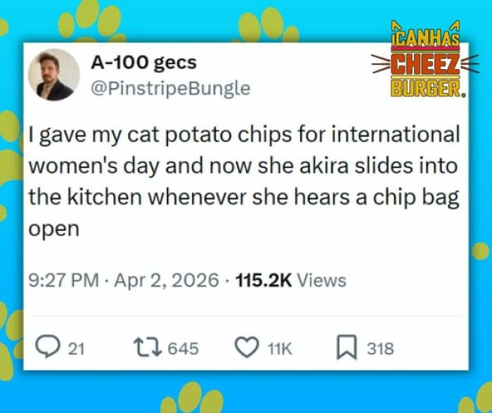 The Original Cat Meme Page Is Still Going Strong: Here Are Some Of The Funniest Posts From I Can Has Cheezburger (50 Pics)