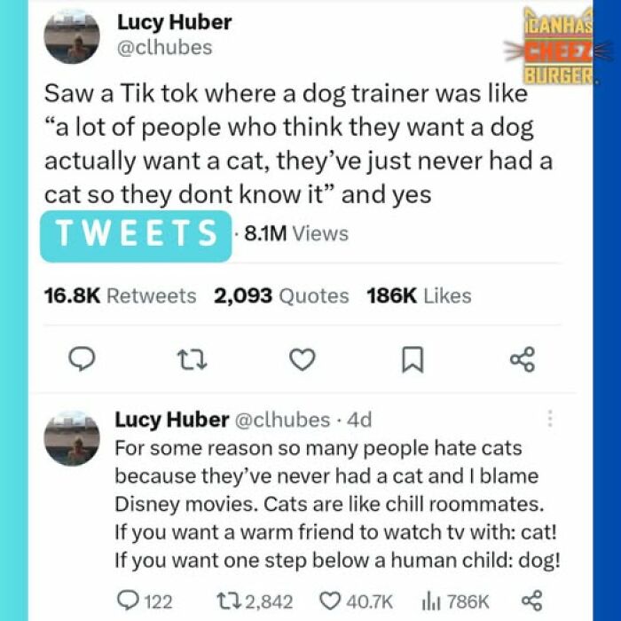 The Original Cat Meme Page Is Still Going Strong: Here Are Some Of The Funniest Posts From I Can Has Cheezburger (50 Pics)