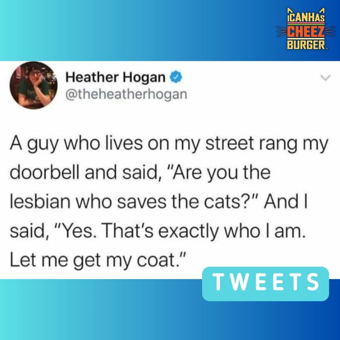 The Original Cat Meme Page Is Still Going Strong: Here Are Some Of The Funniest Posts From I Can Has Cheezburger (50 Pics)