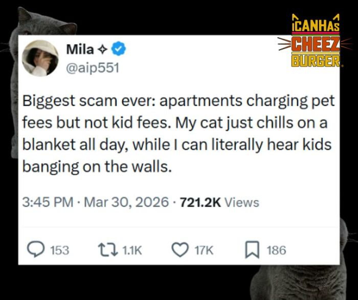 The Original Cat Meme Page Is Still Going Strong: Here Are Some Of The Funniest Posts From I Can Has Cheezburger (50 Pics)