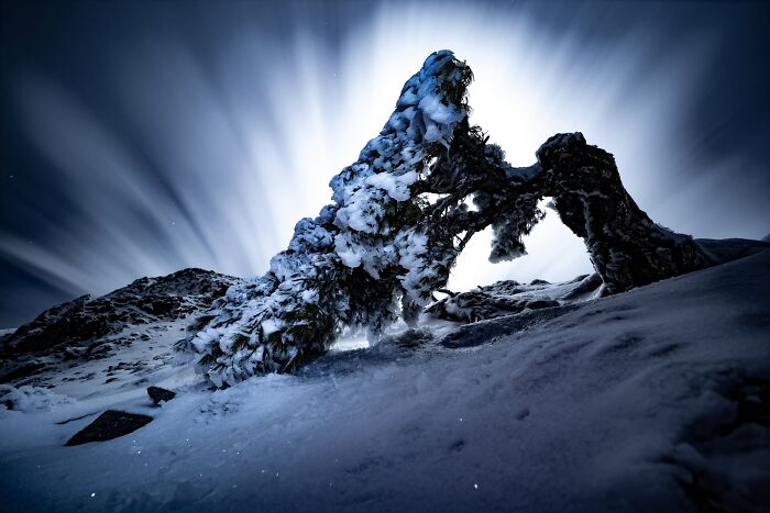 Plant Life, Finalist: The Razor’s Edge By Miguel José Ávalos González