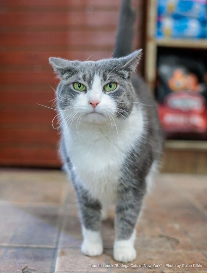 “Kiki: The ATM Problem”