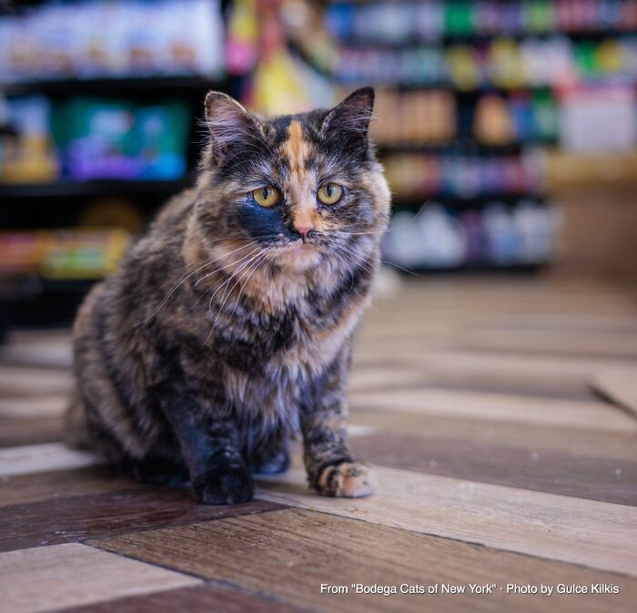 “Kiki: She Claims The ATM”