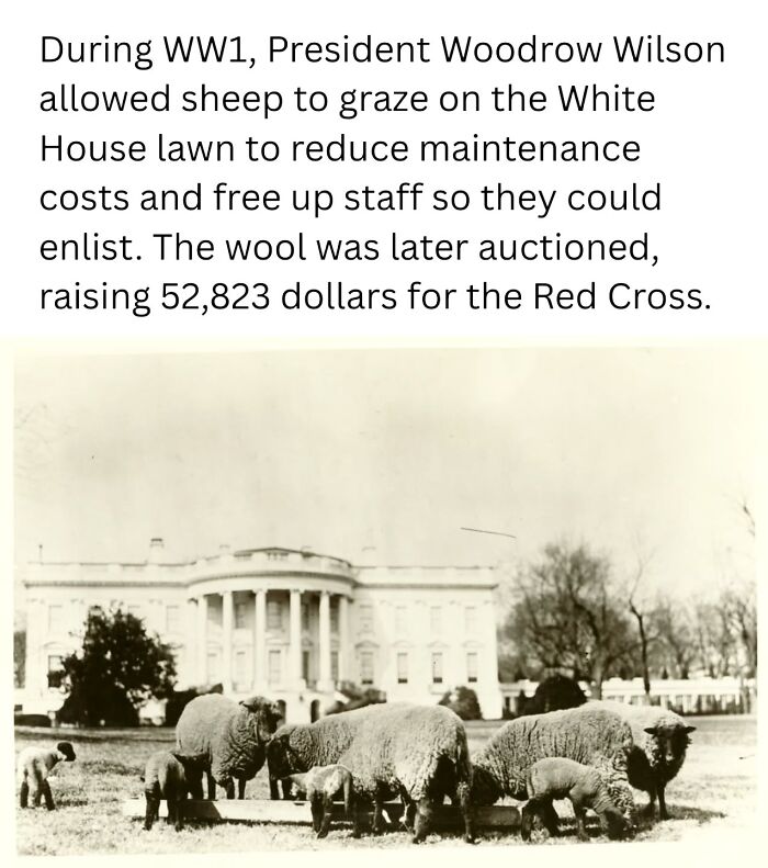 These Fascinating Historical Photos Offer A Rare Glimpse Into The Past (31 Pics)