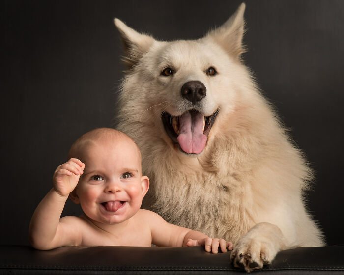 These Studio Portraits Capture The Deep, Silent Bond Between Dogs And Their Humans (30 Pics)