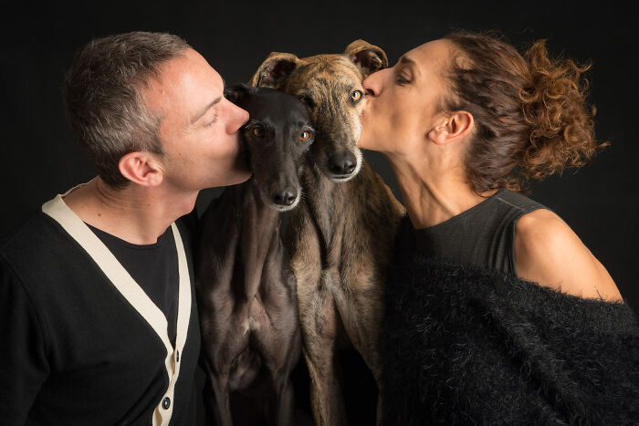 These Studio Portraits Capture The Deep, Silent Bond Between Dogs And Their Humans (30 Pics)