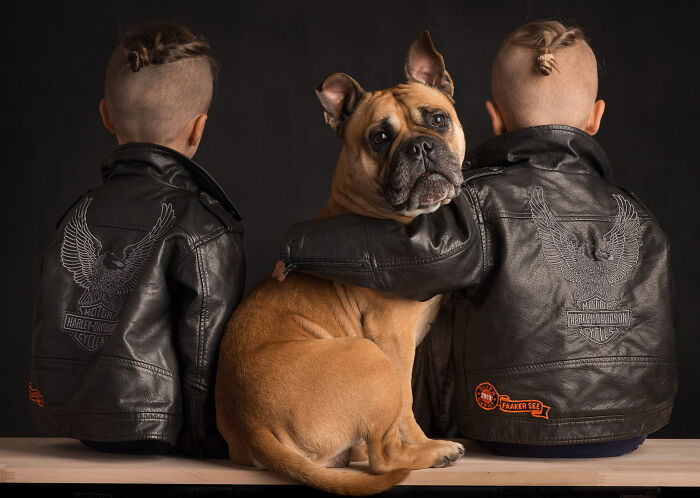 These Studio Portraits Capture The Deep, Silent Bond Between Dogs And Their Humans (30 Pics)