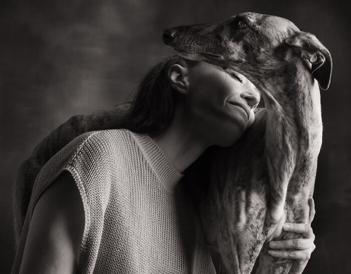 These Studio Portraits Capture The Deep, Silent Bond Between Dogs And Their Humans (30 Pics)
