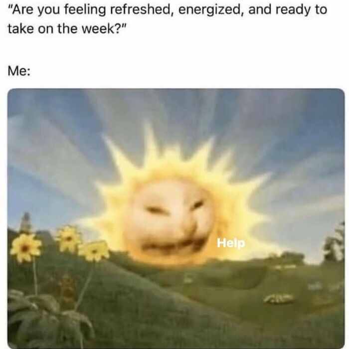 This Instagram Page With Over 4.8 Million Followers Is Delivering The Funniest Cat Memes On The Internet (25 Pics)