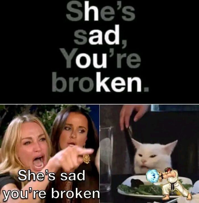 This Instagram Page With Over 4.8 Million Followers Is Delivering The Funniest Cat Memes On The Internet (25 Pics)