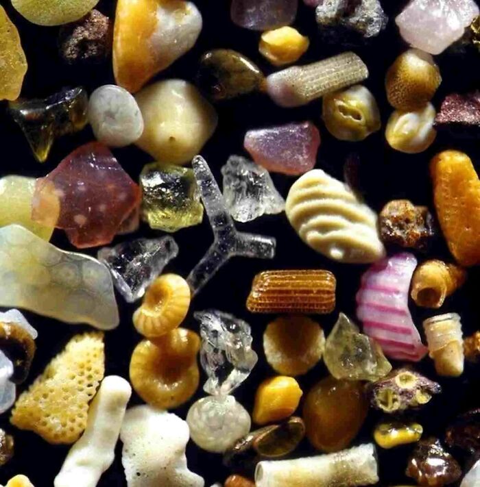 Close-up of colorful beach sand grains showing unique textures and shapes, highlighting details like coral and mineral fragments.