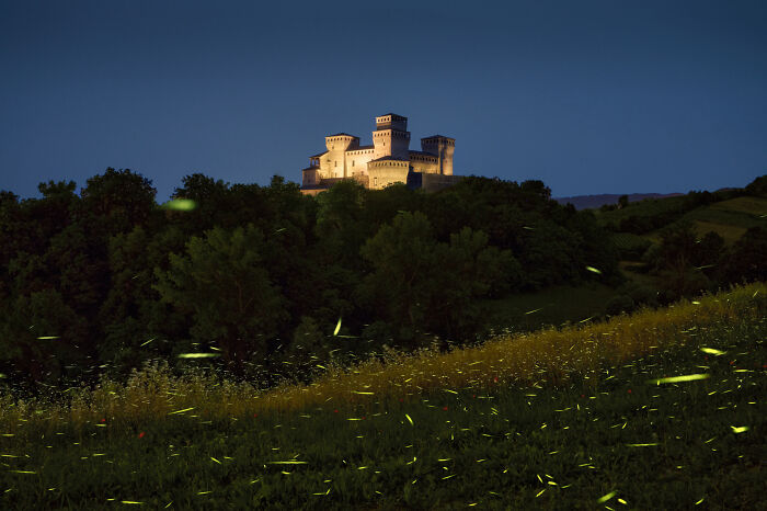 Torrechiara & Fireflies