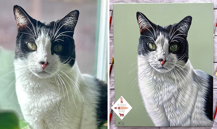 This Artist Paints Incredibly Detailed Pet Portraits That Owners Can Treasure Forever (33 Pics)