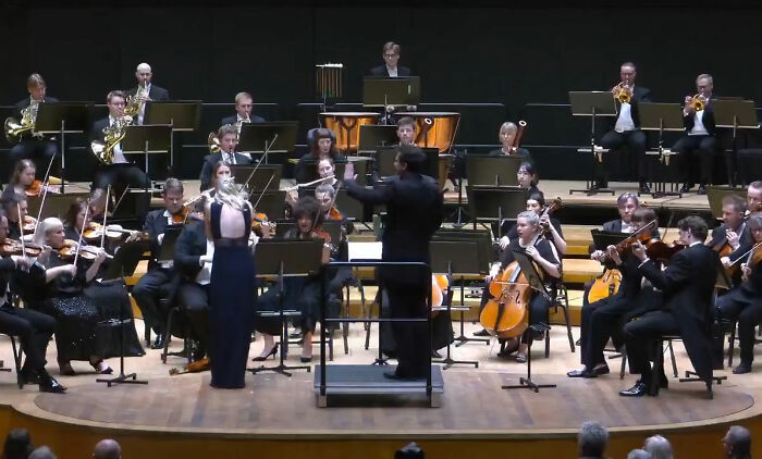 Muitos estão divididos entre culpar o maestro ou o solista depois que um violino antigo avaliado em milhões é destruído no palco