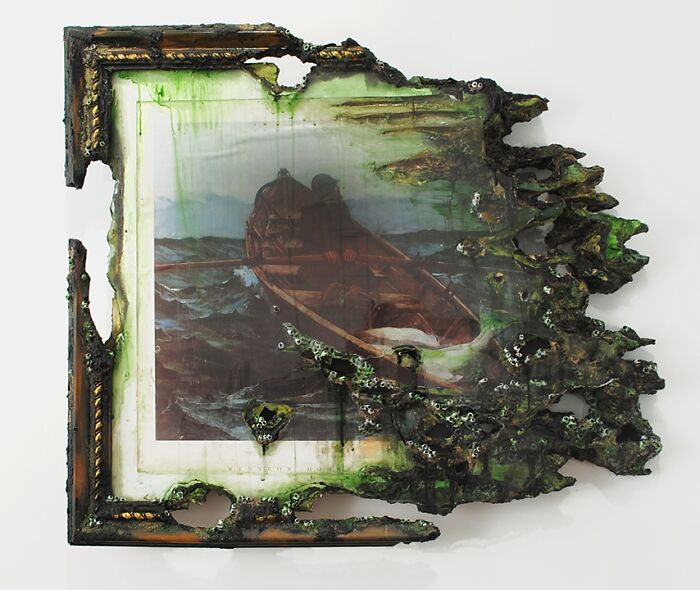 Fog Warning With Barnacles