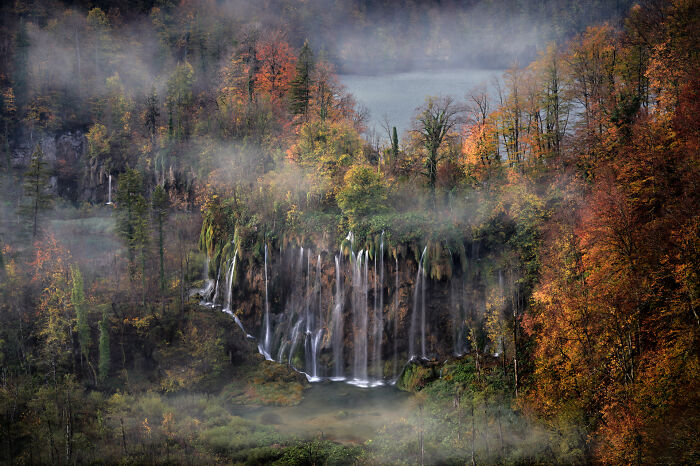 Veliki Prstavak Foliage