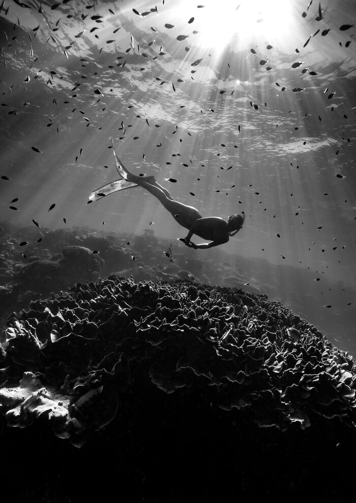 Sharing The Planet, Finalist: Witness By Caitlin Grace