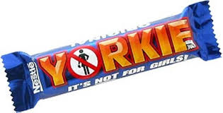 Yorkie-69df913bede25.jpg