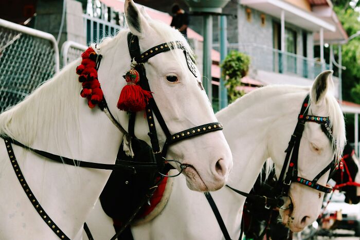 75 Times Weddings Went So Very Wrong, People Just Had To Vent Online