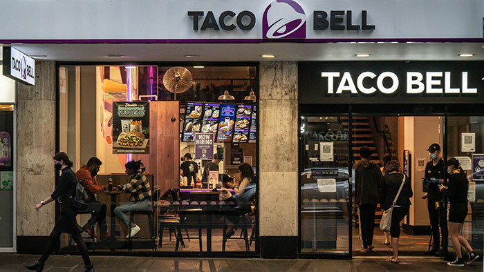 Woman brings home cute senior cat, facing unexpected tapeworm treatment and costly regret after adoption.