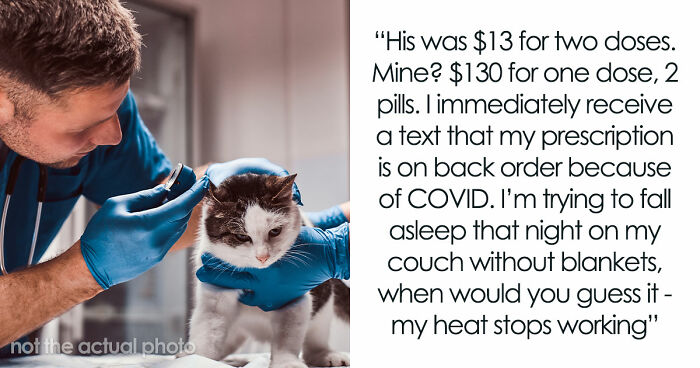 Woman Brings Home Cute Senior Cat, Accidentally Signs Up For Matching Tapeworms And Expensive Regret