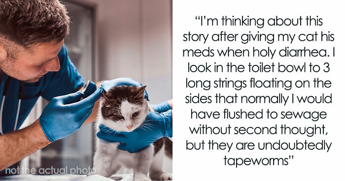 Woman Brings Home Cute Senior Cat, Accidentally Signs Up For Matching Tapeworms And Expensive Regret