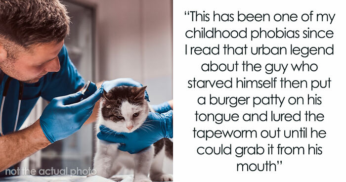 Woman Brings Home Cute Senior Cat, Accidentally Signs Up For Matching Tapeworms And Expensive Regret