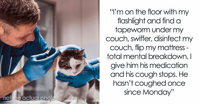 Woman Brings Home Cute Senior Cat, Accidentally Signs Up For Matching Tapeworms And Expensive Regret