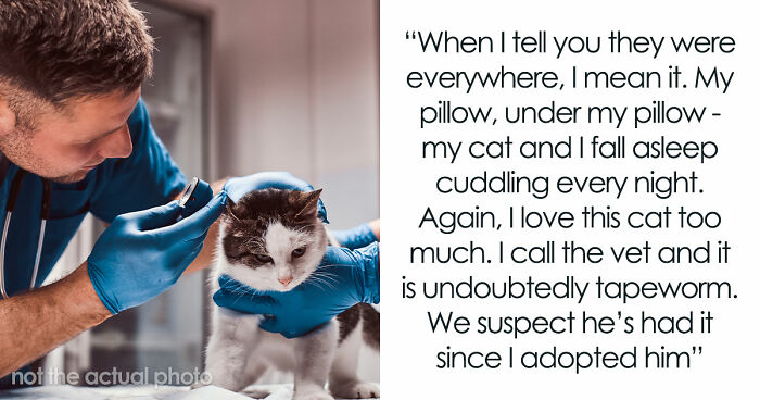 Woman Brings Home Cute Senior Cat, Accidentally Signs Up For Matching Tapeworms And Expensive Regret