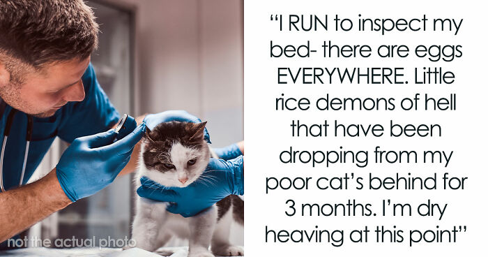 Woman Brings Home Cute Senior Cat, Accidentally Signs Up For Matching Tapeworms And Expensive Regret