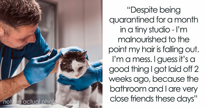 Woman Brings Home Cute Senior Cat, Accidentally Signs Up For Matching Tapeworms And Expensive Regret