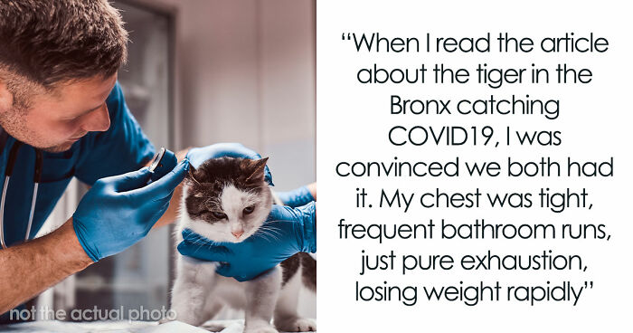 Woman Brings Home Cute Senior Cat, Accidentally Signs Up For Matching Tapeworms And Expensive Regret