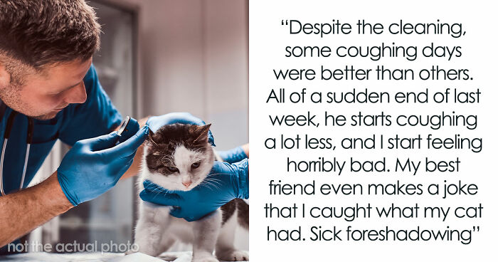 Woman Brings Home Cute Senior Cat, Accidentally Signs Up For Matching Tapeworms And Expensive Regret