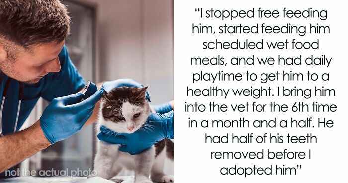 Woman Brings Home Cute Senior Cat, Accidentally Signs Up For Matching Tapeworms And Expensive Regret