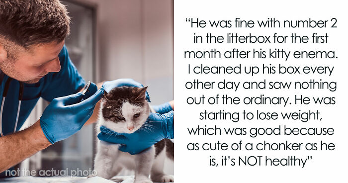 Woman Brings Home Cute Senior Cat, Accidentally Signs Up For Matching Tapeworms And Expensive Regret