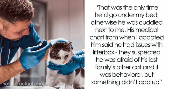 Woman Brings Home Cute Senior Cat, Accidentally Signs Up For Matching Tapeworms And Expensive Regret