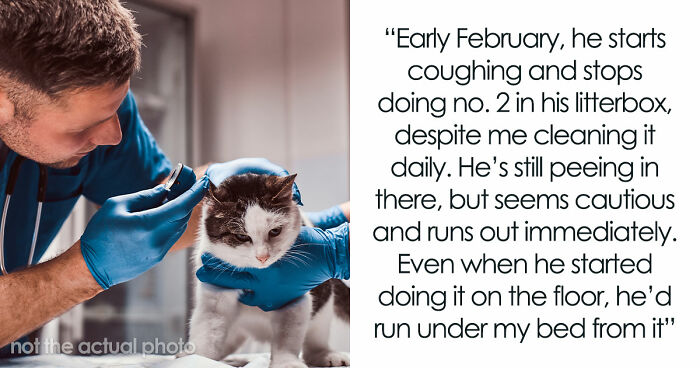 Woman Brings Home Cute Senior Cat, Accidentally Signs Up For Matching Tapeworms And Expensive Regret