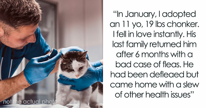 Woman Brings Home Cute Senior Cat, Accidentally Signs Up For Matching Tapeworms And Expensive Regret