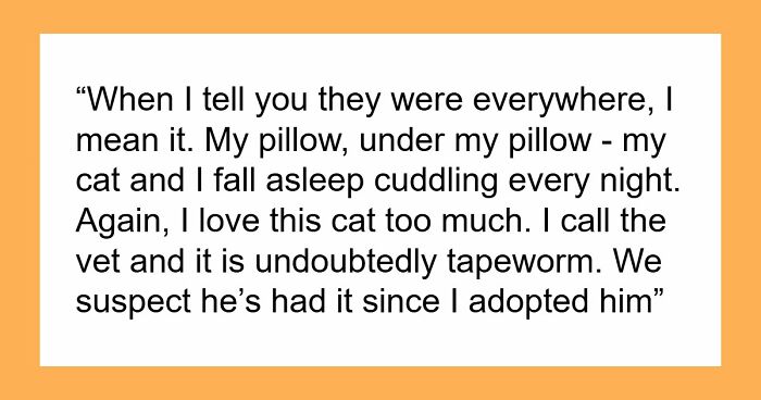 Woman Brings Home Cute Senior Cat, Accidentally Signs Up For Matching Tapeworms And Expensive Regret