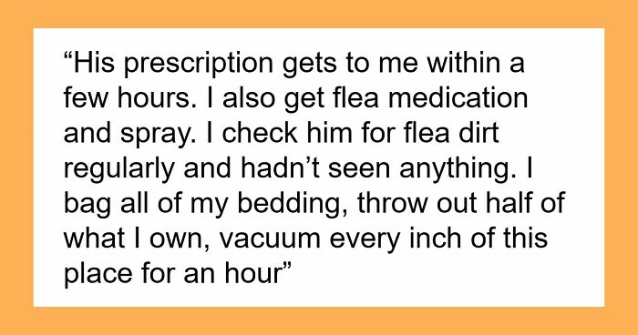 Woman Brings Home Cute Senior Cat, Accidentally Signs Up For Matching Tapeworms And Expensive Regret