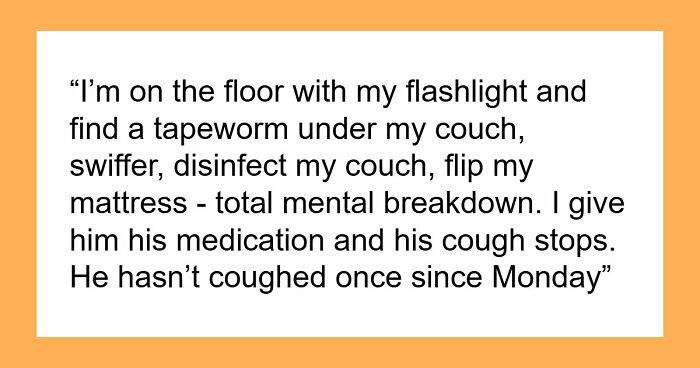 Woman Brings Home Cute Senior Cat, Accidentally Signs Up For Matching Tapeworms And Expensive Regret